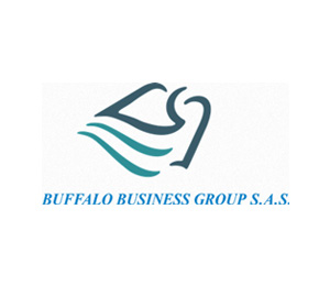 BUFFALO BUSINESS GROUP