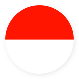 flag-icon-11