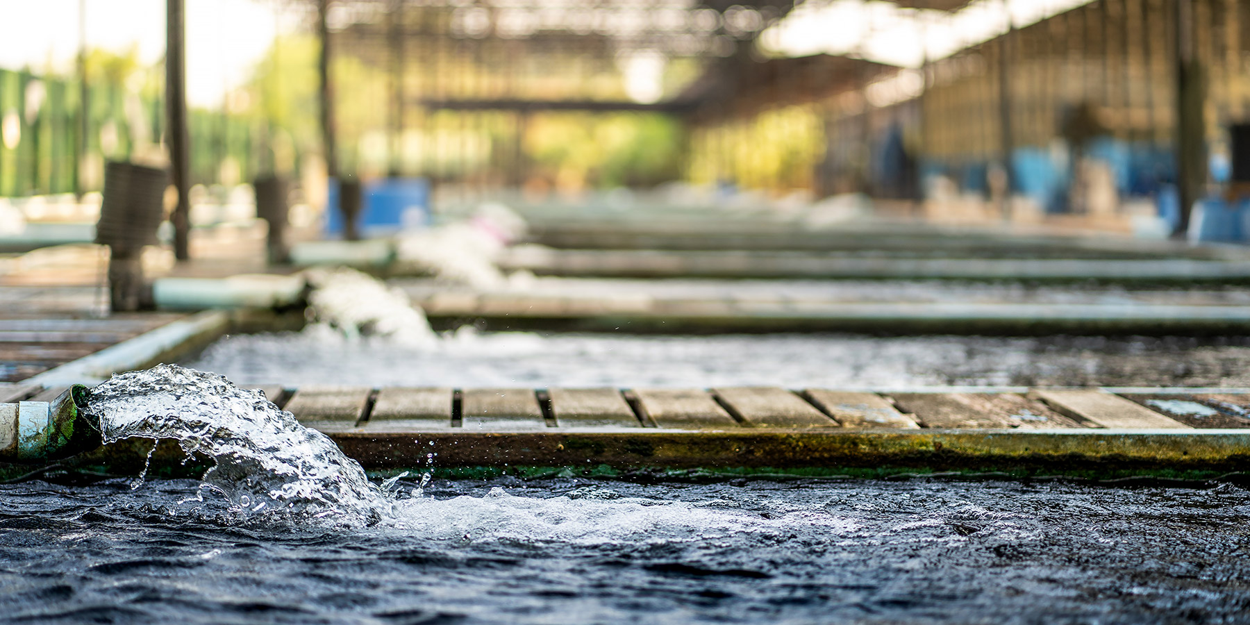 header-sector-001